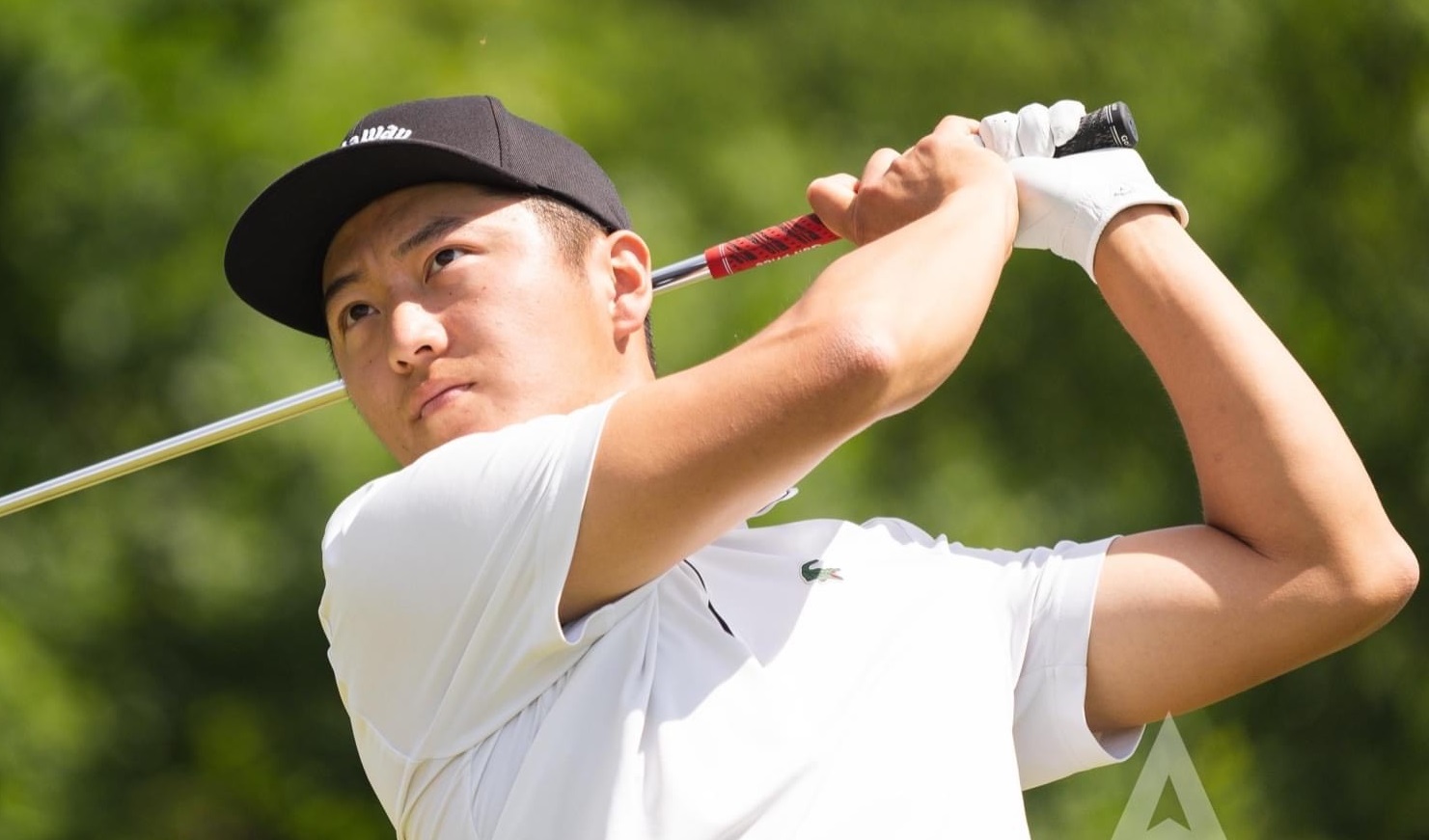Alexandre Liu